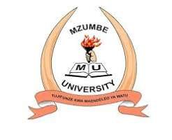MZUMBE SELECTED APPLICANTS 2026/2027